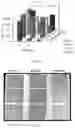 Fig. 11 - PREPARATION OF SOLUBLE COMPOUNDS
