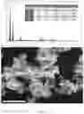 Fig. 16 - PREPARATION OF SOLUBLE COMPOUNDS
