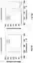 Fig. 14 - AEROSOL-BASED HIGH-TEMPERATURE SYNTHESIS OF MATERIALS WITH COMPOSITIONAL GRADIENT