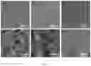 Fig. 02 - Method for purifying dye-containing wastewater based on porous-polymer-modified metal carbon nanotube composite membrane