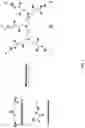 Fig. 02 - Use of multiple charged ionic compounds derived from polyamines for waste water clarification