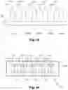 Fig. 29 - Process for the production of an optical element from glass