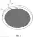 Fig. 02 - SHAPED ARTICLES, METHODS AND APPARATUS FOR FORMING THE SAME, AND LIQUID LENSES COMPRISING THE SAME
