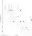 Fig. 08 - RADIOPAQUE GLASS MATERIAL