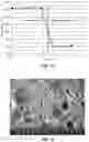 Fig. 13 - Coated-fine-aggregate, concrete composition and method