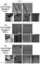 Fig. 06 - DIELECTRIC CERAMICS, METHOD FOR PREPARING THE SAME, AND MULTILAYERED ELECTRIONIC COMPONENT COMPRISING THE SAME
