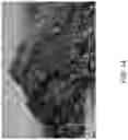 Fig. 10 - Bulk animal bedding