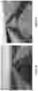 Fig. 07 - COMPOSTING MATERIALS AND METHODS OF PRODUCING THE SAME