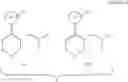 Fig. 13 - Process for the preparation of tapentadol and analogs thereof