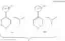 Fig. 19 - Process for the preparation of tapentadol and analogs thereof