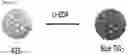 Fig. 02 - Preparing method of compounds including amide group from tertiary amine
