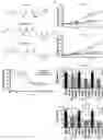 Fig. 01 - SMALL MOLECULES FOR CANCER THERAPY THAT REDUCE THE EXPRESSION OF TRANSCRIPTION FACTORS KLF5 AND EGR-1