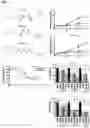 Fig. 02 - SMALL MOLECULES FOR CANCER THERAPY THAT REDUCE THE EXPRESSION OF TRANSCRIPTION FACTORS KLF5 AND EGR-1