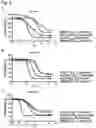 Fig. 03 - SMALL MOLECULES FOR CANCER THERAPY THAT REDUCE THE EXPRESSION OF TRANSCRIPTION FACTORS KLF5 AND EGR-1
