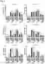Fig. 04 - SMALL MOLECULES FOR CANCER THERAPY THAT REDUCE THE EXPRESSION OF TRANSCRIPTION FACTORS KLF5 AND EGR-1