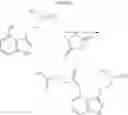 Fig. 11 - Tryptamine Prodrugs