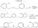 Fig. 13 - Process for the production of a polybenzoxazine monomer