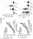 Fig. 15 - Fendiline derivatives
