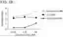 Fig. 03 - Small molecule degraders of Helios and methods of use