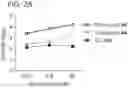 Fig. 05 - Small molecule degraders of Helios and methods of use
