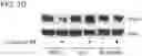 Fig. 08 - Small molecule degraders of Helios and methods of use