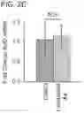 Fig. 09 - Small molecule degraders of Helios and methods of use