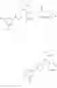 Fig. 203 - Nuclear transport modulators and uses thereof