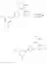 Fig. 208 - Nuclear transport modulators and uses thereof