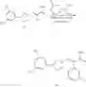 Fig. 211 - Nuclear transport modulators and uses thereof