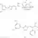 Fig. 212 - Nuclear transport modulators and uses thereof