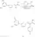 Fig. 214 - Nuclear transport modulators and uses thereof