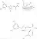 Fig. 218 - Nuclear transport modulators and uses thereof