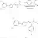 Fig. 219 - Nuclear transport modulators and uses thereof