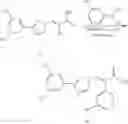 Fig. 224 - Nuclear transport modulators and uses thereof