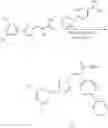Fig. 226 - Nuclear transport modulators and uses thereof