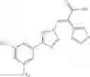 Fig. 92 - Nuclear transport modulators and uses thereof