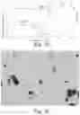 Fig. 11 - SALT OF DIAMINOPYRIMIDINE COMPOUNDS, AND SOLID FORM THEREOF, PREPARATION METHOD THEREFOR AND USE THEREOF
