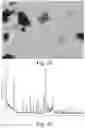 Fig. 16 - SALT OF DIAMINOPYRIMIDINE COMPOUNDS, AND SOLID FORM THEREOF, PREPARATION METHOD THEREFOR AND USE THEREOF