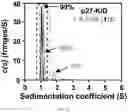 Fig. 07 - SMALL MOLECULES THAT BIND CYCLIN-DEPENDENT KINASE INHIBITOR 1B (P27KIP1)