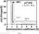 Fig. 09 - SMALL MOLECULES THAT BIND CYCLIN-DEPENDENT KINASE INHIBITOR 1B (P27KIP1)