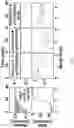 Fig. 14 - SMALL MOLECULES THAT BIND CYCLIN-DEPENDENT KINASE INHIBITOR 1B (P27KIP1)