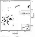 Fig. 21 - SMALL MOLECULES THAT BIND CYCLIN-DEPENDENT KINASE INHIBITOR 1B (P27KIP1)
