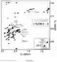 Fig. 25 - SMALL MOLECULES THAT BIND CYCLIN-DEPENDENT KINASE INHIBITOR 1B (P27KIP1)