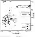 Fig. 28 - SMALL MOLECULES THAT BIND CYCLIN-DEPENDENT KINASE INHIBITOR 1B (P27KIP1)