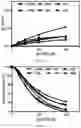 Fig. 31 - SMALL MOLECULES THAT BIND CYCLIN-DEPENDENT KINASE INHIBITOR 1B (P27KIP1)