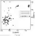 Fig. 34 - SMALL MOLECULES THAT BIND CYCLIN-DEPENDENT KINASE INHIBITOR 1B (P27KIP1)