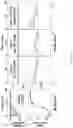 Fig. 41 - SMALL MOLECULES THAT BIND CYCLIN-DEPENDENT KINASE INHIBITOR 1B (P27KIP1)