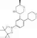 Fig. 144 - HPK1 INHIBITORS