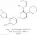 Fig. 313 - HPK1 INHIBITORS