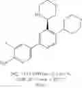 Fig. 317 - HPK1 INHIBITORS
